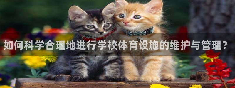 尊龙d88官网QU来就送38