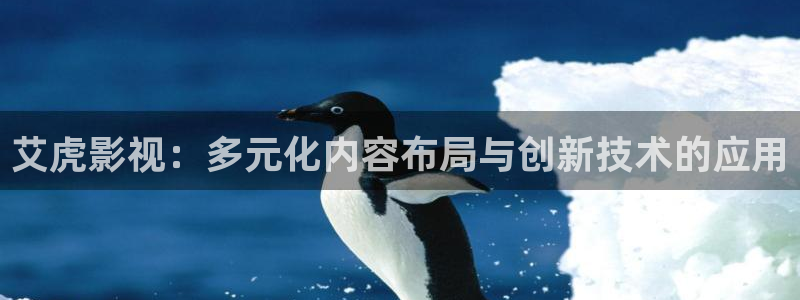 山外人精品影院 6 在线观看