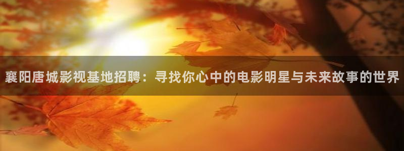 山外人精品影院