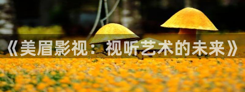 山外人精品影院洋洋av
